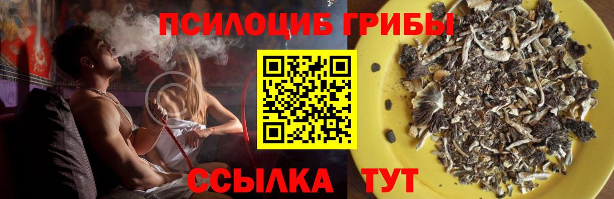 Галлюциногенные грибы прущие грибы Кстово