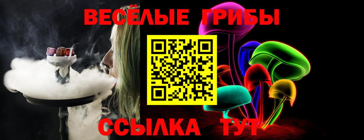 Галлюциногенные грибы Cubensis  Псилоцибиновые грибы GOLDEN TEACHER  Вход с VPN  Кстово 